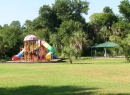 Orchard view